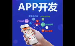 APP，小程序，混合开发，鸿蒙开发